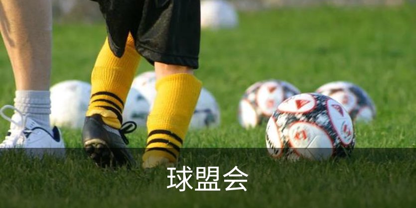 球盟会概况